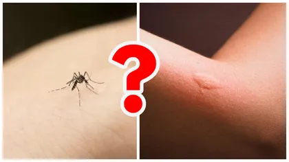 Iată un truc genial care te va scăpa de țânțari. Cu siguranță ai deja în casă toate lucrurile de care ai nevoie
