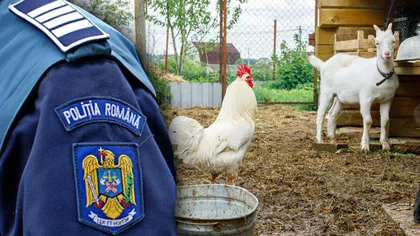 Românii nu vor mai putea să crească aceste animale în curte. Amenzi aspre pentru cei care nu se conformează