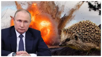 Putin aruncă în război animalele! Rusia montează mine antipersonal pe arici