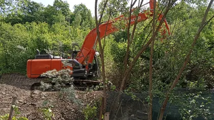 VIDEO Un român a defrișat ilegal păduricea de lângă curtea sa. Motivul? Voia un loc generos pentru grătar