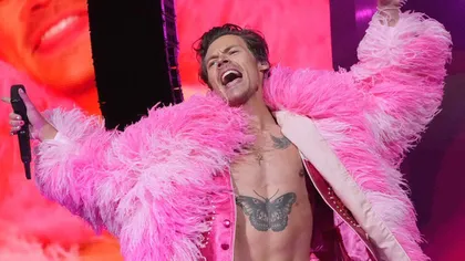 Harry Styles, atacat în timpul concertului din Viena! Idolul actual al femeilor s-a clătinat de durere