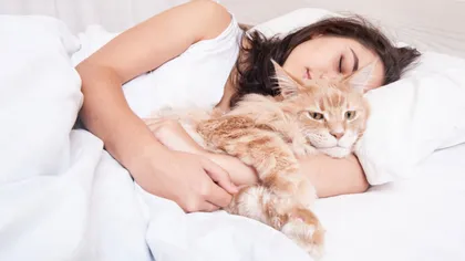 Ce se întâmplă dacă dormi zilnic alături de pisica ta. Efectele nebănuite pe care acest lucru le are asupra organismului