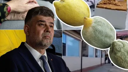 Marcel Ciolacu despre „Azilele Groazei”: „Nu cred că amendând cu zeci de milioane pentru că ai găsit trei lămâi mucegăite vei schimba o problemă de fond”
