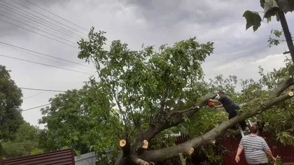 Furtuni violente în zona Moldova, au căzut copaci şi stâlpi, mii de gospodării nu au energie electrică
