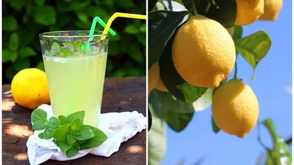 Motivul pentru care grecii nu fac limonadă, chiar dacă Grecia este plină de lămâi: 