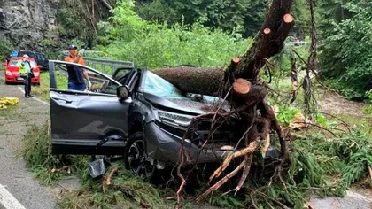 Accident grav pe Transalpina! Un copac a căzut peste o mașină aflată în mers. O femeie a murit strivită, iar o bună perioadă de timp elicopterul SMURD nu a putut să intervină din cauza condițiilor meteo