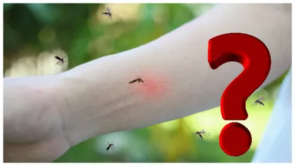 Alimentul minune care te scapă de neplăcerile cauzate de înțepăturile de țânțari. Cu toții îl avem în casă