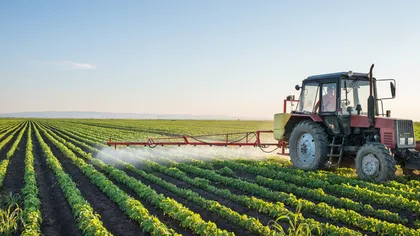 Ministrul Agriculturii anunță măsura care i-ar putea salva pe agricultorii români. Cum ar fi influențat prețul alimentelor
