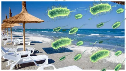 Alertă la mare! O bacterie ucigașă a fost descoperită în apă. Care sunt simptomele și cum se transmite