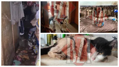 Animale puse în pericol de mania oamenilor! 24 de pisici și 14 câini au fost salvați din apartamentele unor femei care își terorizau vecinii. ”Am ieșit din acea casă cu arsuri la nivelul căilor respiratorii”