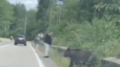 VIDEO Ce a pățit un bărbat pe Transfăgărășan, după ce a vrut să hrănească un urs: 