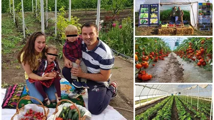 Cine este românul care a dat lovitura în agricultură. Produce legume în solar pe tot parcursul anului: ”Activitatea mea este continuă. Fac producţie 10 luni pe an