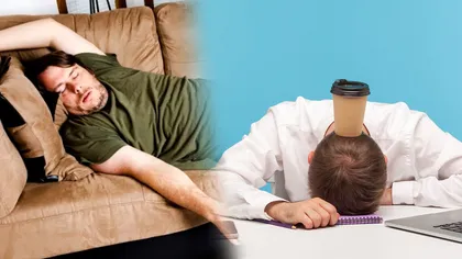 Cinci motive pentru care un leneș are mai mult succes decât o persoană dependentă de muncă