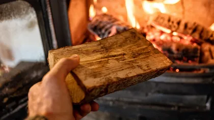 Cum își pot achiziționa lemne pentru încălzire cu banii de pe cardurile de energie