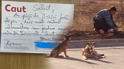Biletul lăsat de Răzvan, un iubitor de câini, în Kaufland Militari. Internetul s-a îndrăgostit de mesajul bucureșteanului: „Dacă aveți resturi alimentare, vin în 5 minute”