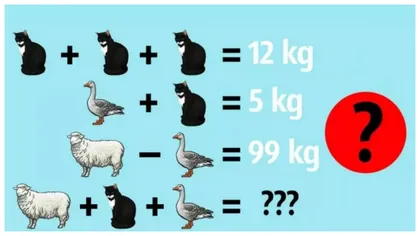 Test de inteligență pentru cei cu IQ ridicat! Ce greutate au oaia, pisica şi raţa. Majoritatea adulților greșesc