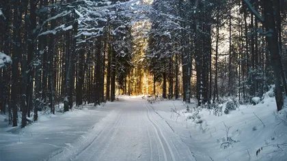 Destinațiile cu zăpadă de sărbători. Se anunță o iarnă ca-n povești în aceste locuri din România