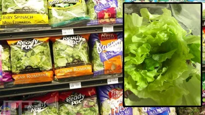Ce mănânci, de fapt, când cumperi o salată verde din supermarketurile din România. Adevărul a ieșit la iveală