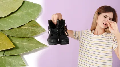 De ce e bine să pui o frunză de dafin în pantofi. Trucul care te ajută atât iarna, cât și vara