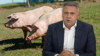 Florin Barbu, atac dur la adresa celor care vor să interzică sacrificarea şi vinderea porcilor. 