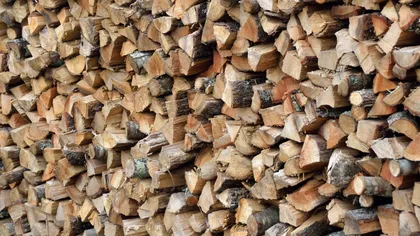 Preţul lemnului a explodat în 2023! Cât trebuie să plătească românii în această iarnă pentru încălzirea cu lemn