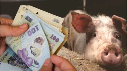Românii au făcut credit pentru porcul de Crăciun. Procentul de îndatorare, dublu faţă de 2022