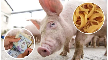 Cât costă un kilogram de şorici în 2023. Carnea de porc şi produsele tradiţionale, mai scumpe cu 20% faţă de anul trecut