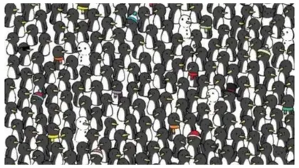 Test de inteligență exclusiv pentru geniile cu ochi de uliu! Găsește cele două pisici ascunse printre pinguini în opt secunde