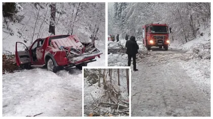 Urgia albă face ravagii în Maramureș! Copac doborât de gheață peste o mașină aflată în mișcare