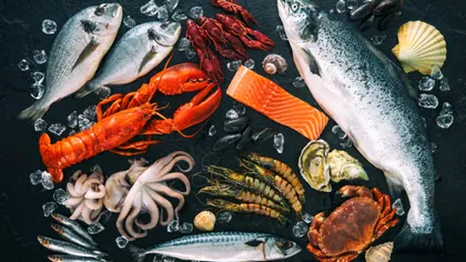Cât de sănătos este să consumăm pește și fructe de mare. Dr. Radu Țincu aruncă bomba care dă peste cap teoriile nutriționiștilor