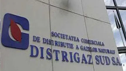 Distrigaz Sud, investitii de 100 mil. euro pentru modernizarea retelei