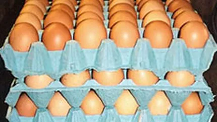 Inflatia a coborat sub 4,7% in noiembrie