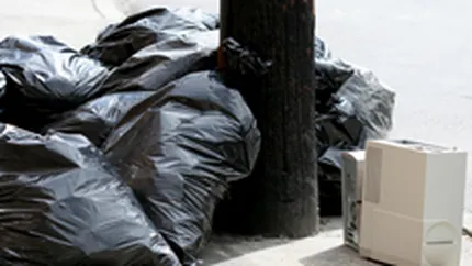 Reciclarea PC-urilor va crea o piata de 3,5 mil. euro in 2007