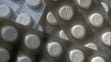 Vanzarile Terapia-Ranbaxy au atins 75 mil. euro in 2006