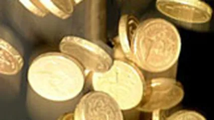SIF Muntenia a propus distribuirea unui dividend de 0,07 lei pe actiune