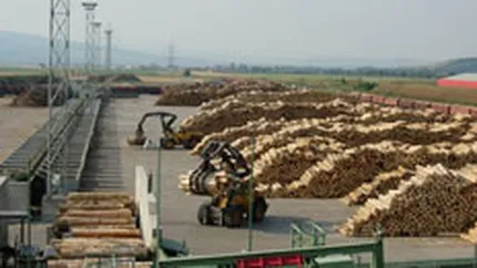 Investitiile unguresti in Romania sunt estimate la 345 de milioane de euro in 2007