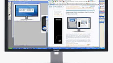 Vanzarile de monitoare widescreen pot creste de 4 ori in 2007