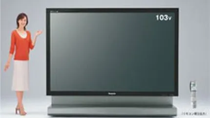 Panasonic Romania a inregistrat o cifra de afaceri de 46 mil. euro in anul fiscal 2006