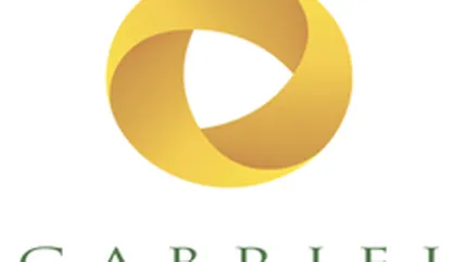 Gabriel Resources - pierderi nete de 1,6 milioane euro
