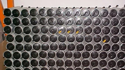 Combinatul Mittal Steel Galati ar putea renunta la cateva fabrici