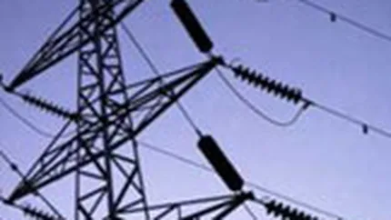AVAS: Contractul de privatizare a Electrica Muntenia Sud va fi semnat luni