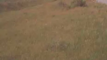 Electronica vinde terenuri in valoare de 24,62 mil. euro in Bucuresti