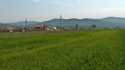Scaderea ofertei a dublat preturile terenurilor din Ramnicu Valcea