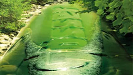 Sister&Co a lansat ambalajul pentru berea premium Gosser