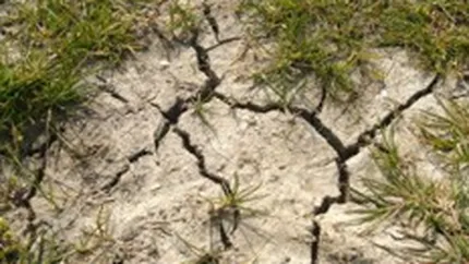 Remes: Romania va avea o strategie antiseceta in maxim 3 luni