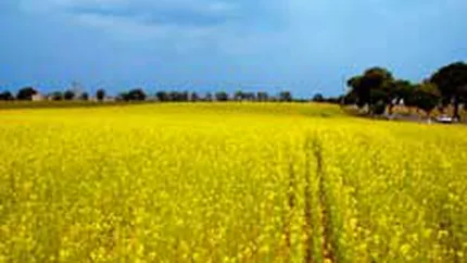 Instalatie de producere a biodieselului la Vaslui, in valoare de 18 mil. euro