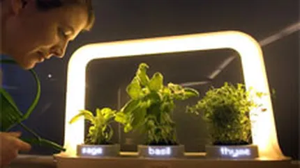 Philips urmareste dublarea profitului pana in 2010, ca urmare a reorganizarii grupului