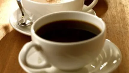 Elite Romania estimeaza pentru 2007 afaceri de pana la 80 milioane euro