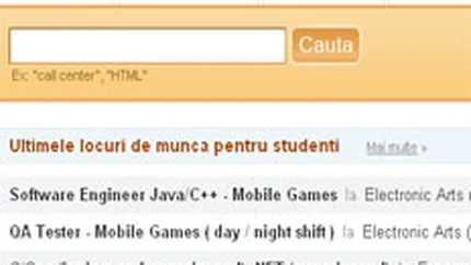 O companie din Cluj a lansat un site de recrutare pentru studenti
