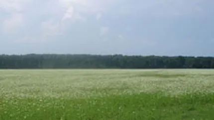 Ungurii de la Ablon au cumparat un teren in Pipera cu 18,5 mil. euro